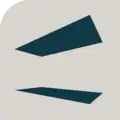 sarvin global